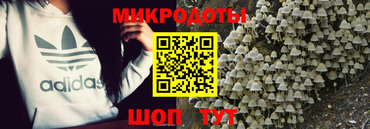 Тельмана  Псилоцибиновые грибы Magic Shrooms  хочу наркоту  Вход с VPN 